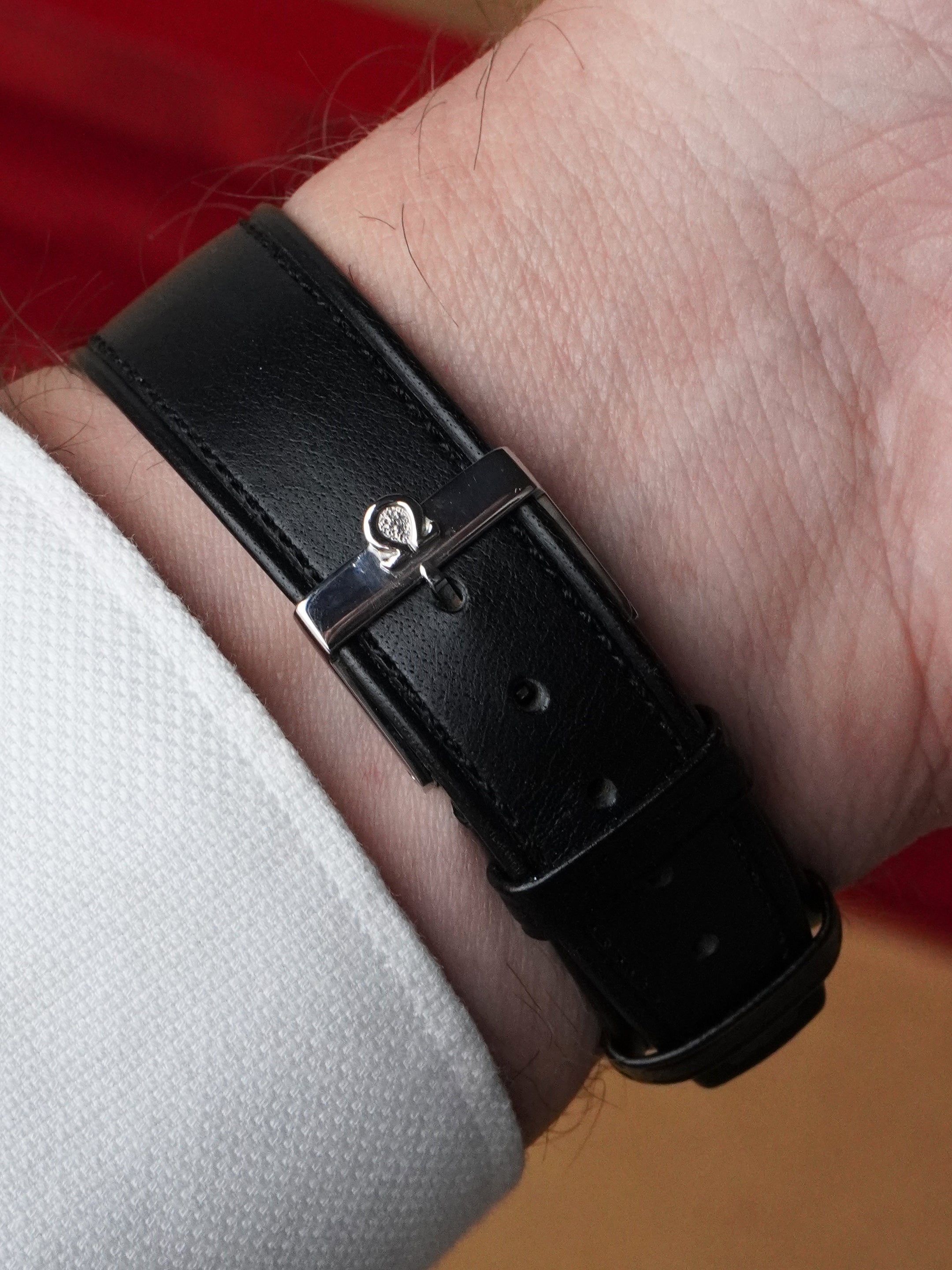 Omega Seamaster 2759-10 SC - Stainless Steel, Tropical Dial, Automatic, Box Only (1956)